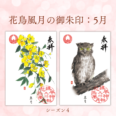 花鳥風月の御朱印【シーズン４】定期便・令和8年7月25日お申込み