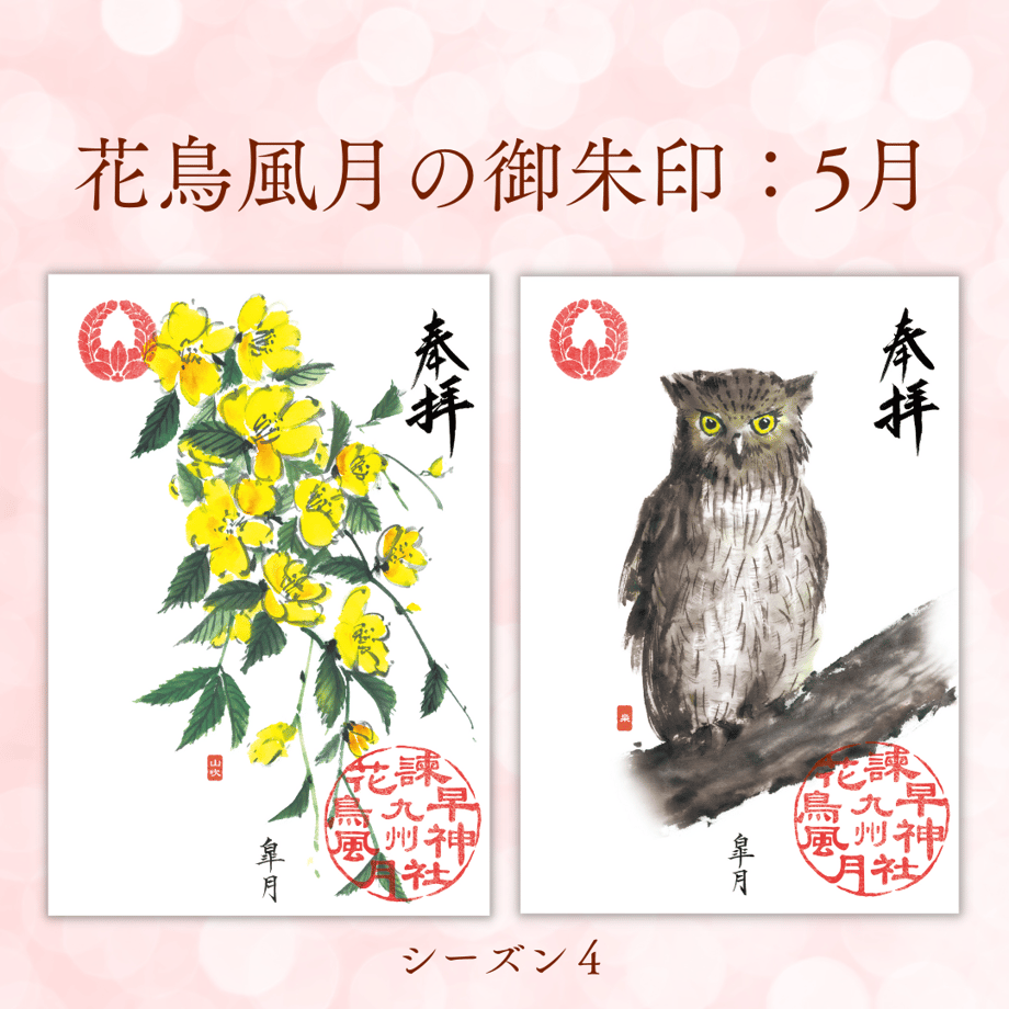 67dfb8160b01f5cd0a34dc1c