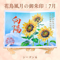 花鳥風月の御朱印【シーズン６】定期便・令和8年6月25日お申込み