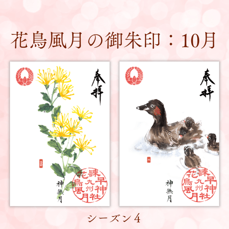 花鳥風月の御朱印【シーズン４】定期便・令和7年4月25日お申込み