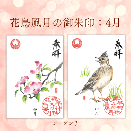 花鳥風月の御朱印【シーズン３】定期便・令和8年6月25日お申込み