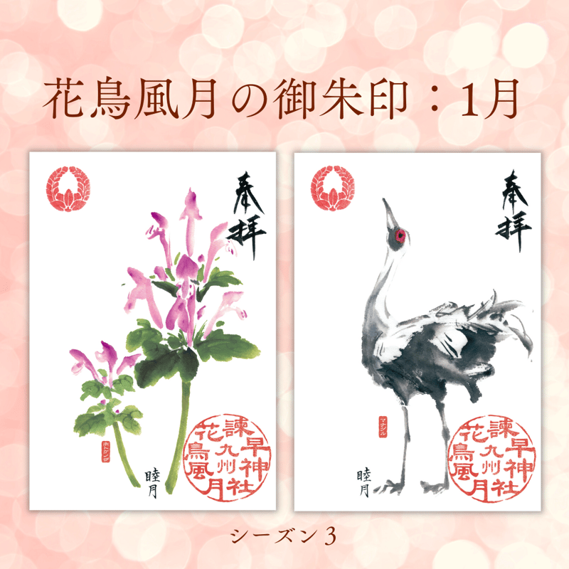花鳥風月の御朱印【シーズン3】定期便・令和7年11月25日お申込み