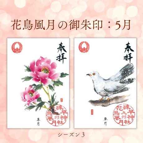 花鳥風月の御朱印【シーズン３】定期便・令和8年6月25日お申込み