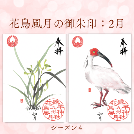 花鳥風月の御朱印【シーズン４】定期便・令和8年7月25日お申込み