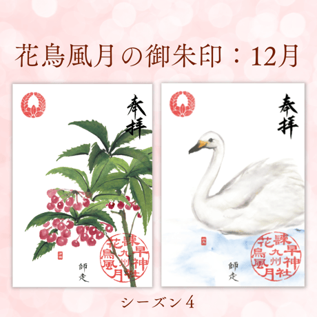 花鳥風月の御朱印【シーズン４】定期便・令和8年7月25日お申込み