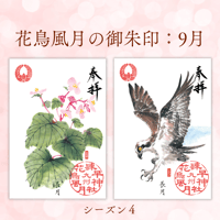 花鳥風月の御朱印【シーズン４】定期便・令和8年8月25日お申込み