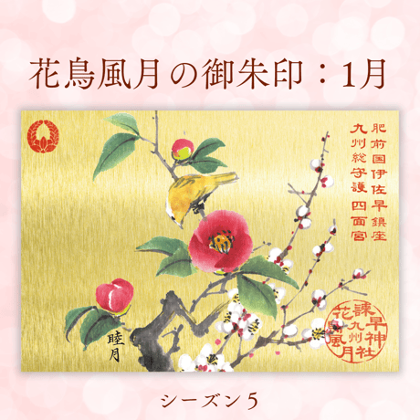 花鳥風月の御朱印【シーズン５】定期便・令和8年7月25日お申込み