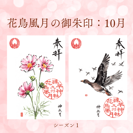 花鳥風月の御朱印【シーズン１】定期便・令和8年6月25日お申込み