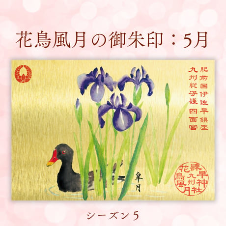 花鳥風月の御朱印【シーズン５】定期便・令和8年7月25日お申込み