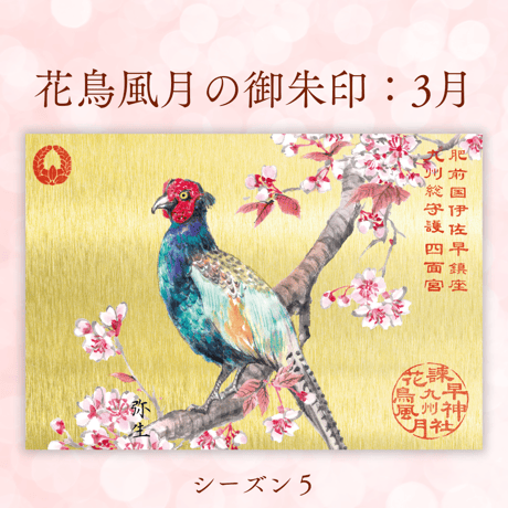 花鳥風月の御朱印【シーズン５】定期便・令和8年7月25日お申込み
