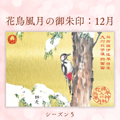 花鳥風月の御朱印【シーズン５】定期便・令和8年7月25日お申込み