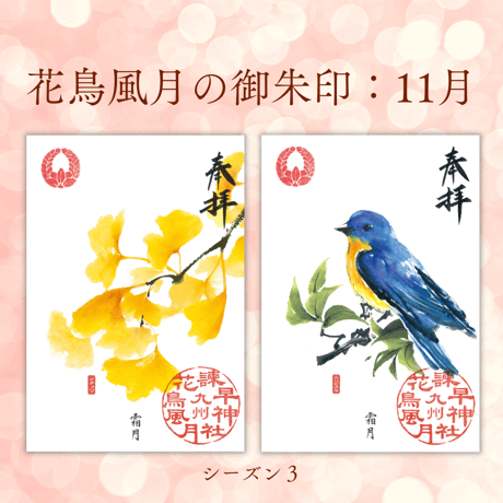 花鳥風月の御朱印【シーズン３】定期便・令和8年6月25日お申込み