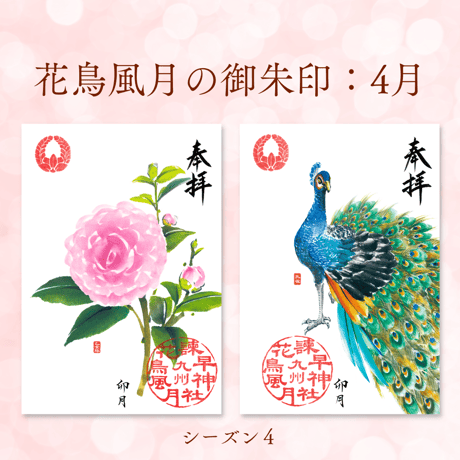 花鳥風月の御朱印【シーズン４】定期便・令和8年7月25日お申込み