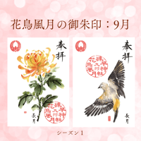 花鳥風月の御朱印【シーズン１】定期便・令和7年8月25日お申込み