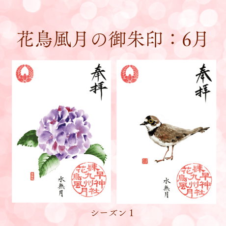 花鳥風月の御朱印【シーズン１】定期便・令和8年6月25日お申込み