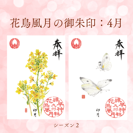 花鳥風月の御朱印【シーズン２】定期便・令和8年6月25日お申込み