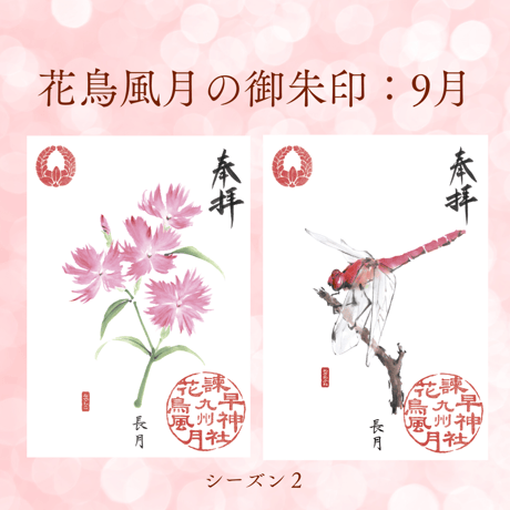 花鳥風月の御朱印【シーズン２】定期便・令和8年6月25日お申込み