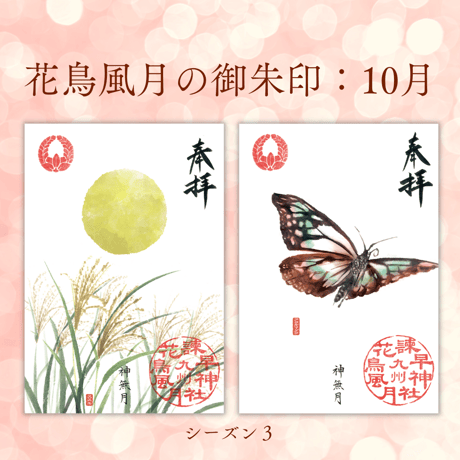 花鳥風月の御朱印【シーズン３】定期便・令和8年6月25日お申込み