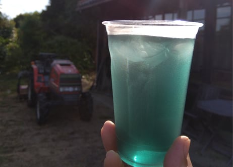 夏の畑の五馳走茶（ごちそうちゃ）