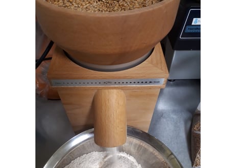 種まきから始めた小麦の全粒粉