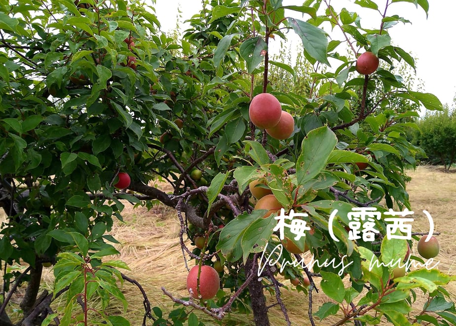 62f59fa923747f74a4c1d946