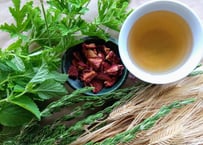 春の畑の五馳走茶（ごちそうちゃ）