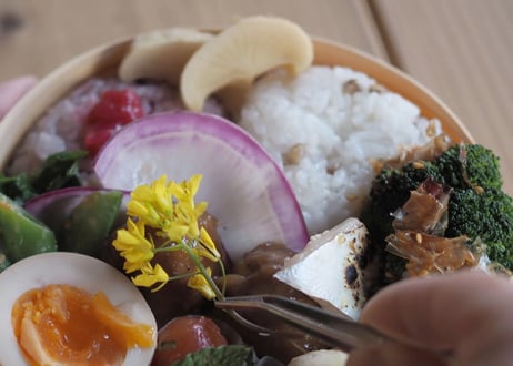 種まきから始めたぷちぷちのもち麦