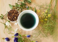 夏の畑の五馳走茶（ごちそうちゃ）