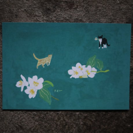 【絵本な雑貨店】fumi original ポストカード "ジャスミンと猫"