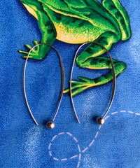 Hook Earrings
