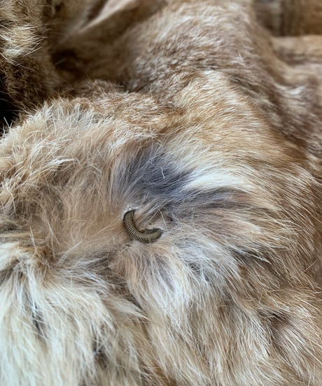 NATURAL RABBIT FUR Short Coat