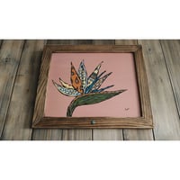 Bird of paradise flower