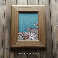 Underwater walk 珊瑚礁 A