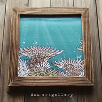 Underwater walk 珊瑚礁 雅