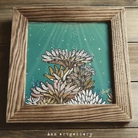 🆕original art /珊瑚礁