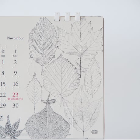 2024年ユニバーサルデザインカレンダー「五感で楽しむ植物」