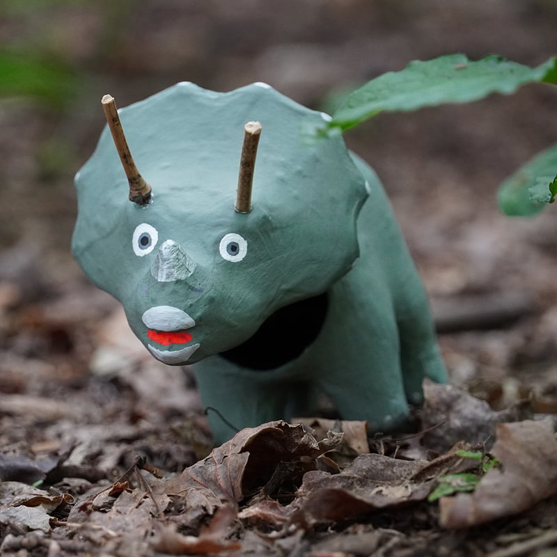 郷竜張子 ニシオギ・トリノコトプス | torinoko store