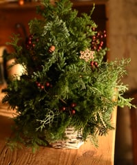 クリスマスツリー