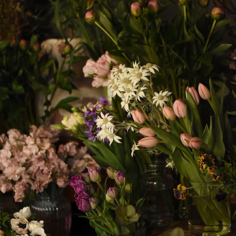 定期便】季節の切り花セレクト 8,800円(送料込) | Valon tila