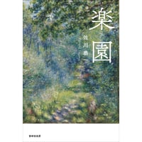 安樂瑛子『汗と涙と煩悩のチベット・ネパール・インド絵日記』 | 本の