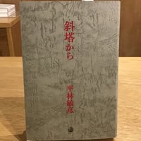 平林敏彦『斜塔から』(港の人)
