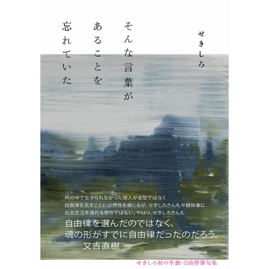 676cfa62d3c2c9020f6bcff6