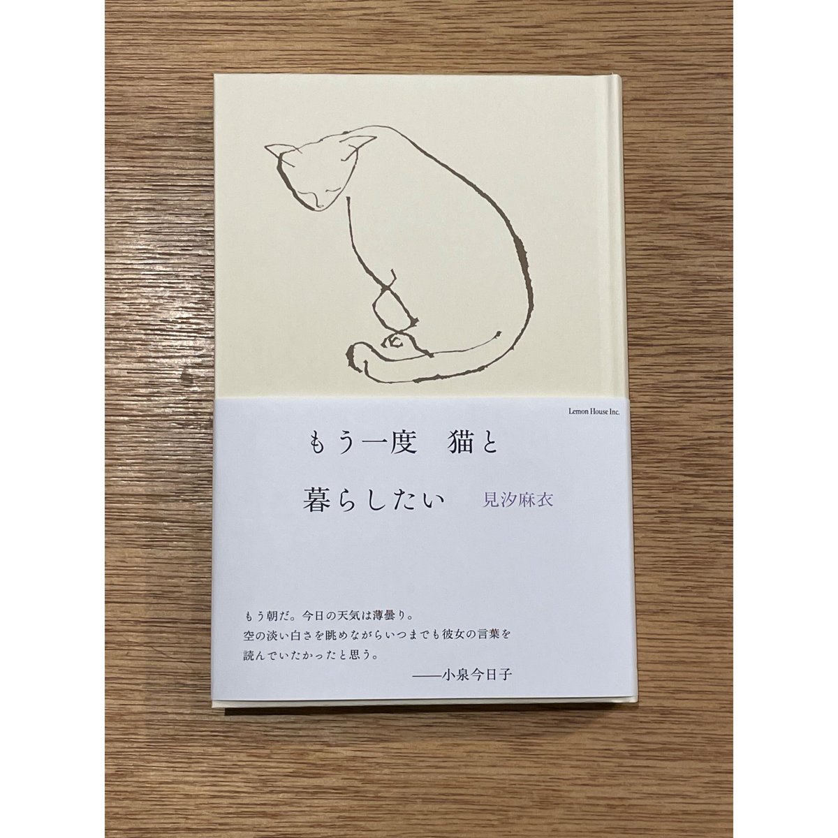 【サイン本】もう一度　猫と暮らしたい　見汐麻衣 もう一度猫と暮らしたい｜見汐麻衣（著者サイン本） | 本の轍 STORE