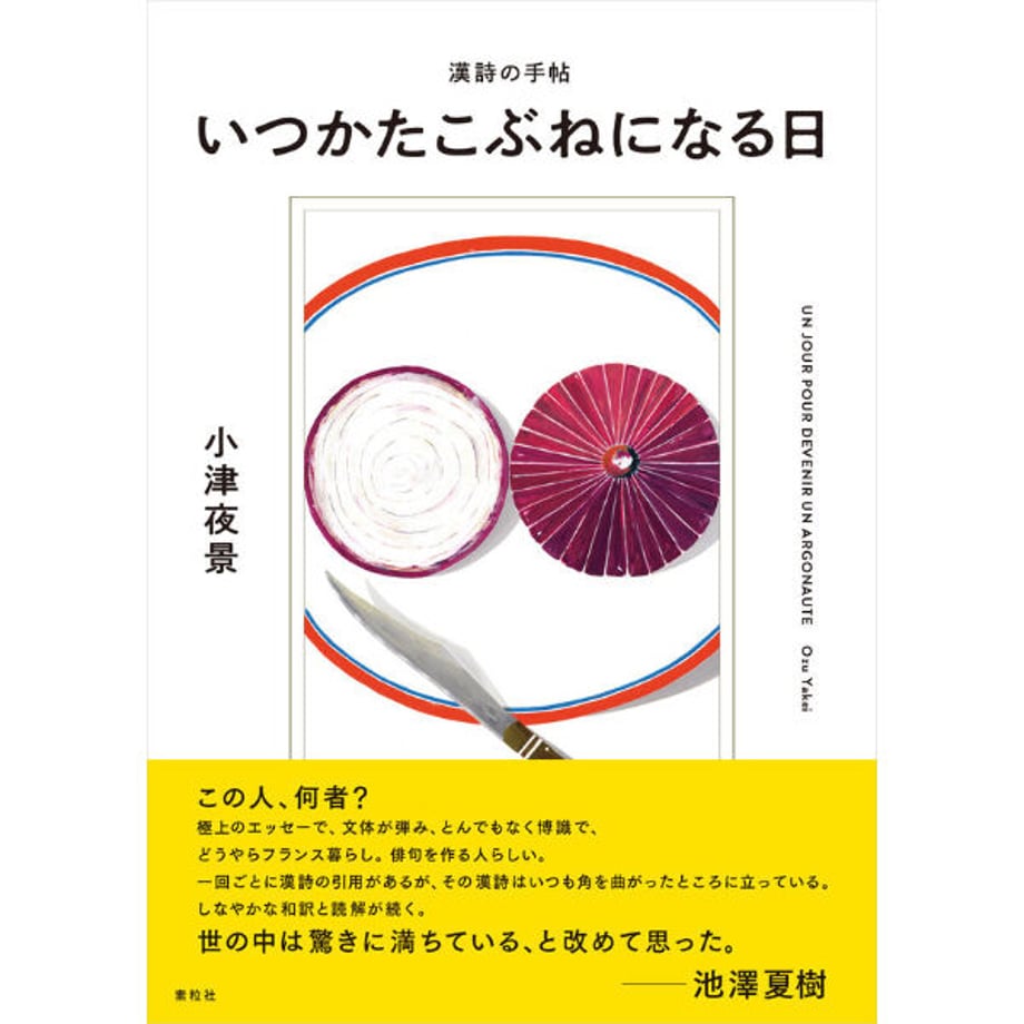 5fb38b76f0b10870fce90129