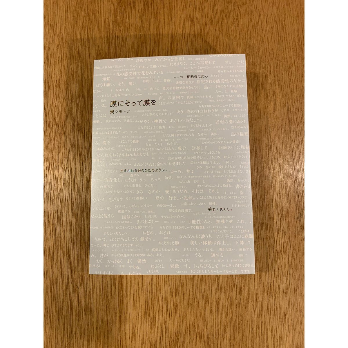 蜆シモーヌ『膜にそって膜を』（書肆子午線）