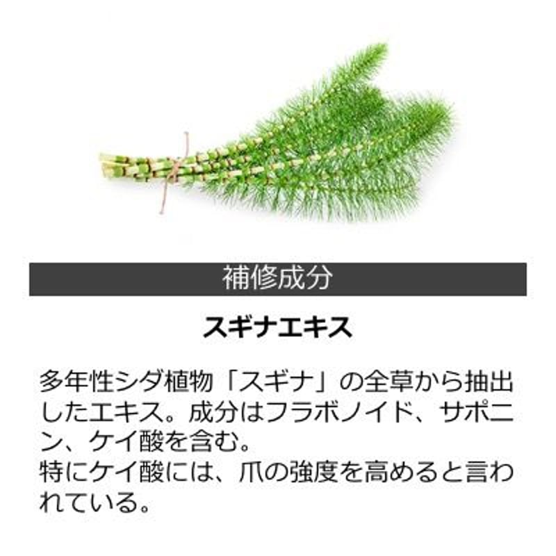 アスリートネイル パーフェクトネイルエッセンス（12本セット