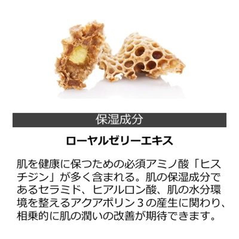 アスリートネイル パーフェクトネイルエッセンス（12本セット