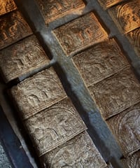 biscuits au grand épeautre / 古代小麦のクッキー 四枚一組　10/10(土)発送予定
