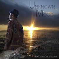 UNKNOWN MOOD / 西山HANK史翁