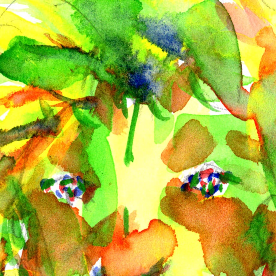 627e5225f3de5c7e5fae88aa